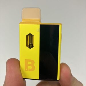 BLINKERS 2 GRAM PREMIUM ALL-IN-ONE-DEVICE
