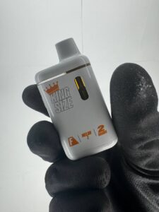 Flavors King Size 2G Premium Live Resin All-In-One Devices