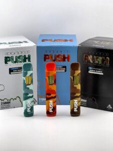Organic PUSH 2 GRAM DISPOSABLE 