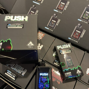 Push 2G Disposable With Screen